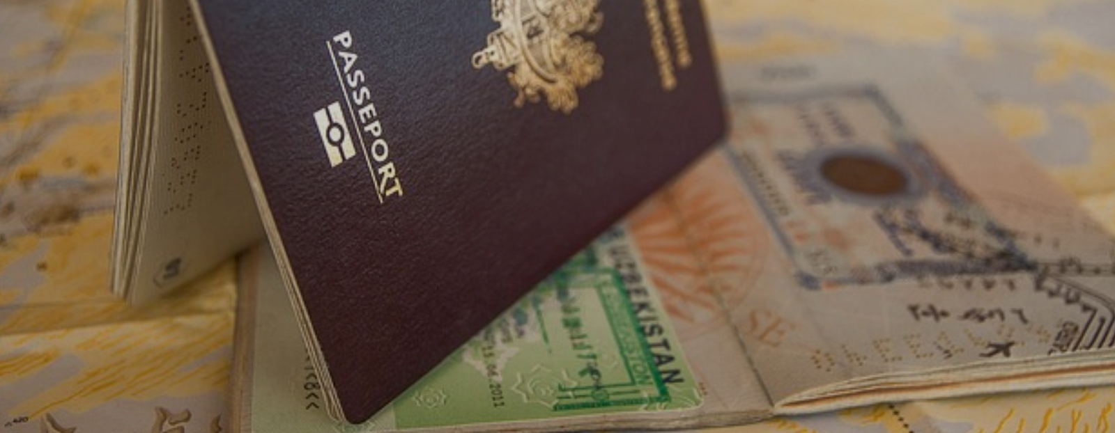 #1 Easy & Reliable update visa information UAE | Truetrackae